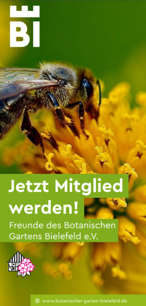 Beitrittserklärung Freunde des Botanischen Gartens Bielefeld e.V.