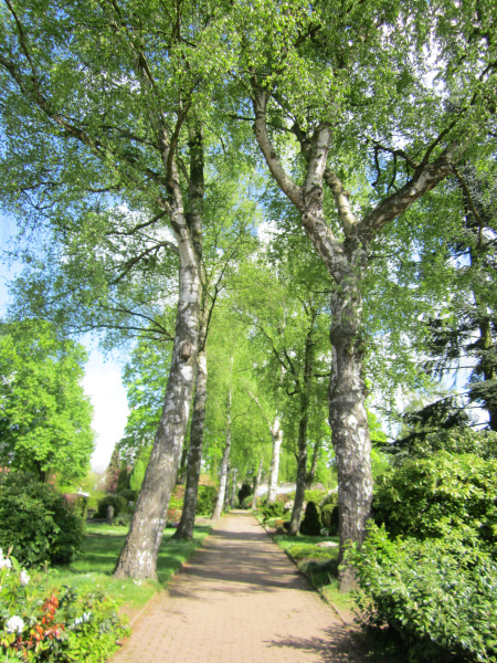 Alter Friedhof Brake